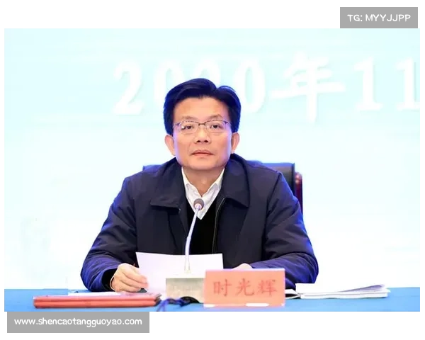 提升作战效率关键要素解析 聚焦辅助光辉装备的应用与优化 提升作战效率关键要素解析 聚焦辅助光辉装备的应用与优化