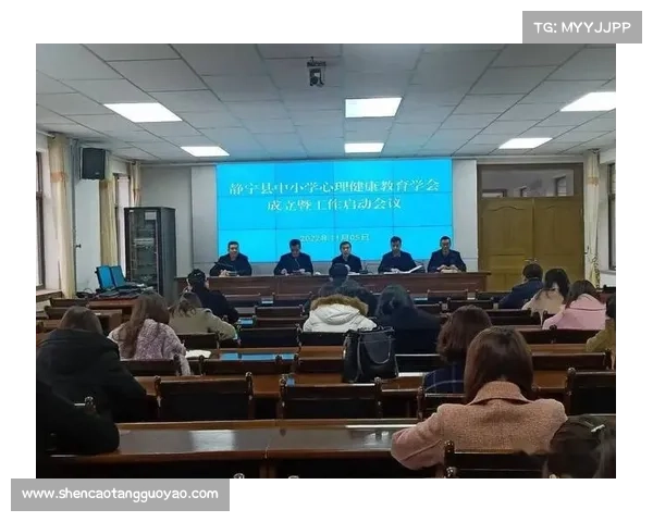 网络游戏创新机制探索与实践深度解析全指南 网络游戏创新机制探索与实践深度解析全指南