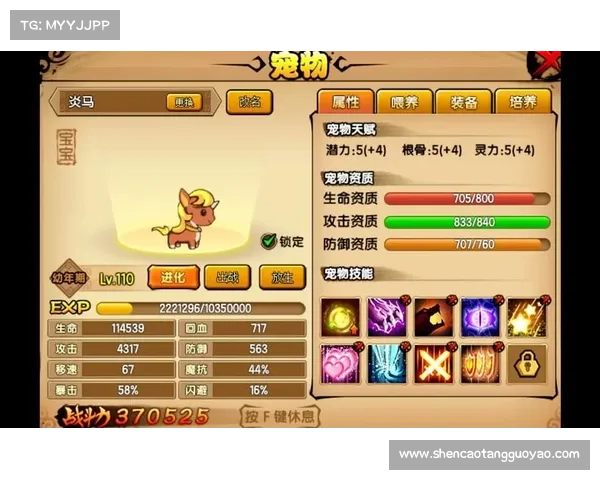 《造梦西游3》宠物捕捉攻略与技巧分享 帮助玩家轻松捕获稀有宠物 《造梦西游3》宠物捕捉攻略与技巧分享 帮助玩家轻松捕获稀有宠物