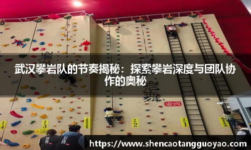 武汉攀岩队的节奏揭秘：探索攀岩深度与团队协作的奥秘
