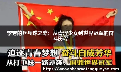 李芳的乒乓球之路：从青涩少女到世界冠军的奋斗历程