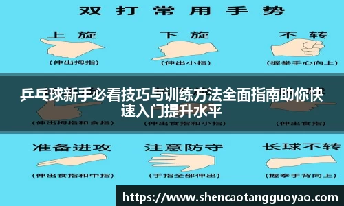 乒乓球新手必看技巧与训练方法全面指南助你快速入门提升水平