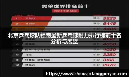 北京乒乓球队领跑最新乒乓球耐力排行榜前十名分析与展望