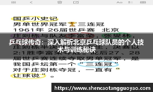 乒乓球传奇：深入解析北京乒乓球队员的个人技术与训练秘诀