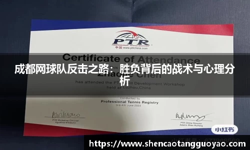 成都网球队反击之路：胜负背后的战术与心理分析
