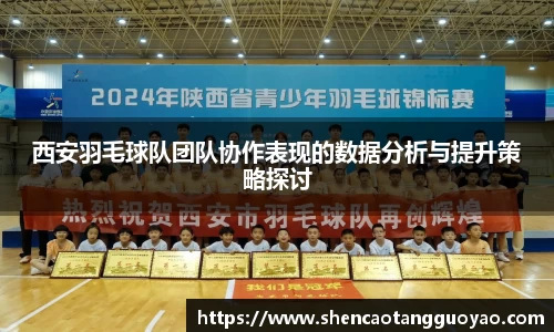 西安羽毛球队团队协作表现的数据分析与提升策略探讨