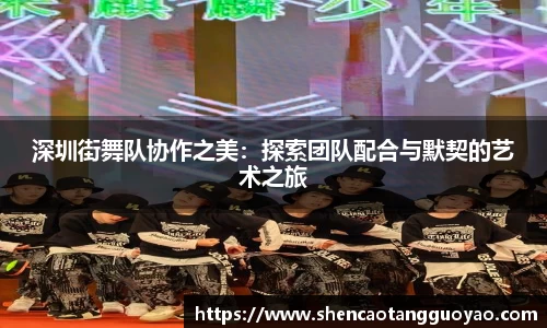 深圳街舞队协作之美：探索团队配合与默契的艺术之旅