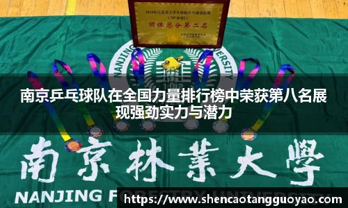 南京乒乓球队在全国力量排行榜中荣获第八名展现强劲实力与潜力