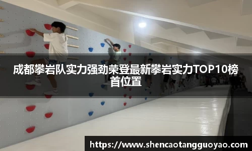成都攀岩队实力强劲荣登最新攀岩实力TOP10榜首位置